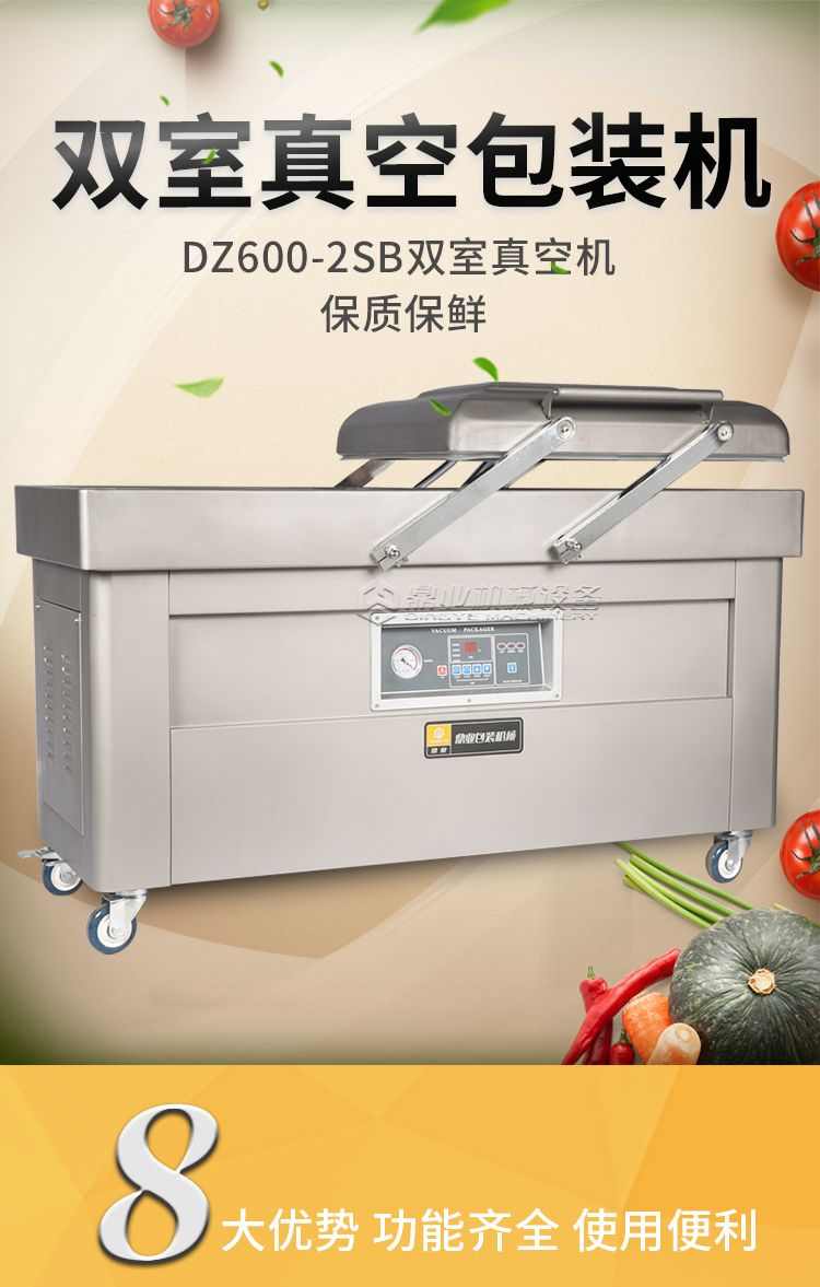 DZ600-2SB双室真空包装机(图1)