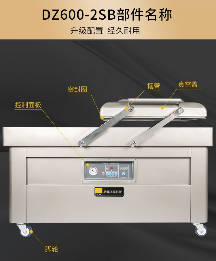 DZ600-2SB双室真空包装机(图12)