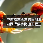 中国能建承建的肯尼亚内罗毕供水隧道工程正式移交（图3）