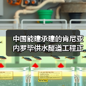 中国能建承建的肯尼亚内罗毕供水隧道工程正式移交（图4）