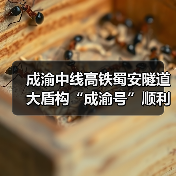 成渝中线高铁蜀安隧道大盾构“成渝号”顺利始发 成渝中线高铁蜀安隧道大盾构“成渝号”顺利始发