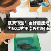低碳转型!全球首座港内底盘式重卡换电站正式启用(图2) 低碳转型!全球首座港内底盘式重卡换电站正式启用(图2)