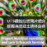 UTS钢丝拉结网片组合板现浇混凝土墙体自保温系统标准发布(图2) UTS钢丝拉结网片组合板现浇混凝土墙体自保温系统标准发布(图2)