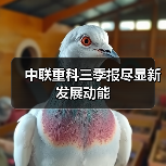 中联重科三季报尽显新发展动能(图4) 中联重科三季报尽显新发展动能(图4)
