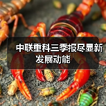 中联重科三季报尽显新发展动能(图2) 中联重科三季报尽显新发展动能(图2)