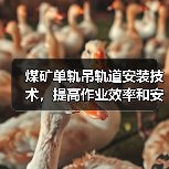 煤矿单轨吊轨道安装技术,提高作业效率和安全性(图4) 煤矿单轨吊轨道安装技术,提高作业效率和安全性(图4)