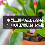 中国工程机械工业协会：10月工程机械市场指数快报（图3）
