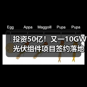 投资50亿！又一10GW光伏组件项目签约落地（图4）