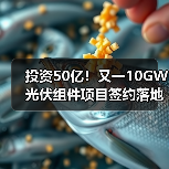 投资50亿！又一10GW光伏组件项目签约落地（图2）
