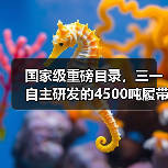 国家级重磅目录，三一自主研发的4500吨履带起重机入选（图2）