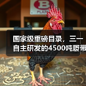 国家级重磅目录，三一自主研发的4500吨履带起重机入选（图4）