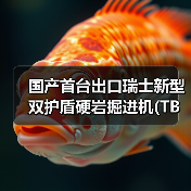 国产首台出口瑞士新型双护盾硬岩掘进机(TBM)始发（图2）