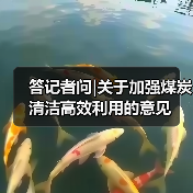 答记者问|关于加强煤炭清洁高效利用的意见（图3）