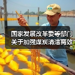国家发展改革委等部门关于加强煤炭清洁高效利用的意见（图3）