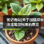 答记者问|关于加强煤炭清洁高效利用的意见（图4）
