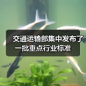交通运输部集中发布了一批重点行业标准（图4）