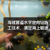 海域管道水平定向钻施工技术，满足海上输送工程要求（图2）