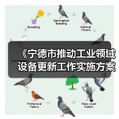 《宁德市推动工业领域设备更新工作实施方案》发布（图3）