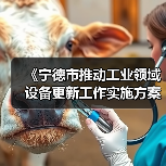 《宁德市推动工业领域设备更新工作实施方案》发布（图4）