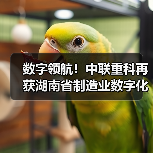 数字领航！中联重科再获湖南省制造业数字化转型多项殊荣（图4）