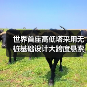 世界首座高低塔采用无桩基础设计大跨度悬索桥桐梓河特大桥通车（图4）