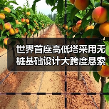 世界首座高低塔采用无桩基础设计大跨度悬索桥桐梓河特大桥通车（图3）