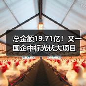 总金额19.71亿!又一国企中标光伏大项目(图2) 总金额19.71亿!又一国企中标光伏大项目(图2)