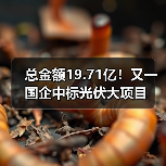 总金额19.71亿!又一国企中标光伏大项目(图4) 总金额19.71亿!又一国企中标光伏大项目(图4)