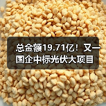总金额19.71亿!又一国企中标光伏大项目(图3) 总金额19.71亿!又一国企中标光伏大项目(图3)