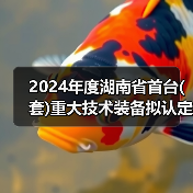 2024年度湖南省首台(套)重大技术装备拟认定产品名单（图4）