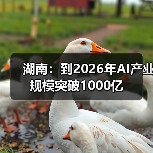 湖南：到2026年AI产业规模突破1000亿（图4）