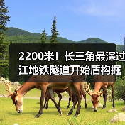 2200米！长三角最深过江地铁隧道开始盾构掘进（图3）