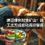 建设绿色智慧矿山！徐工土方成套化遥控装备批量交付（图2）