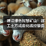 建设绿色智慧矿山！徐工土方成套化遥控装备批量交付（图4）