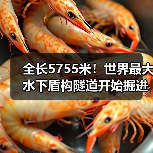 全长5755米!世界最大水下盾构隧道开始掘进(图2) 全长5755米!世界最大水下盾构隧道开始掘进(图2)