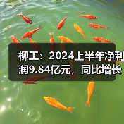 柳工:2024上半年净利润9.84亿元,同比增长60.20%(图2) 柳工:2024上半年净利润9.84亿元,同比增长60.20%(图2)