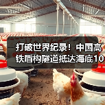 打破世界纪录!中国高铁盾构隧道抵达海底106米(图4) 打破世界纪录!中国高铁盾构隧道抵达海底106米(图4)