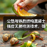 公路与铁路结构混凝土强度无损检测技术，确保工程质量与安全（图3）