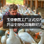 玉柴泰国工厂正式投产 开启全球化战略新纪元(图4) 玉柴泰国工厂正式投产 开启全球化战略新纪元(图4)