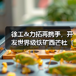 徐工&力拓再携手,开发世界级铁矿西芒杜(Simandou)(图4) 徐工&力拓再携手,开发世界级铁矿西芒杜(Simandou)(图4)
