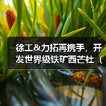 徐工&力拓再携手,开发世界级铁矿西芒杜(Simandou)(图2) 徐工&力拓再携手,开发世界级铁矿西芒杜(Simandou)(图2)