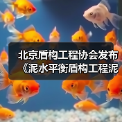 北京盾构工程协会发布《泥水平衡盾构工程泥浆处理技术标准》（图3）