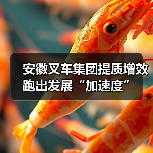 安徽叉车集团提质增效跑出发展“加速度”(图3) 安徽叉车集团提质增效跑出发展“加速度”(图3)