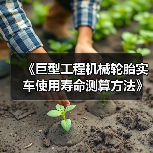 《巨型工程机械轮胎实车使用寿命测算方法》标准发布（图2）