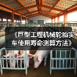 《巨型工程机械轮胎实车使用寿命测算方法》标准发布（图4）