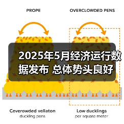2025年5月经济运行数据发布 总体势头良好（图3）