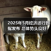 2025年5月经济运行数据发布 总体势头良好（图2）