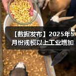 【数据发布】2025年5月份规模以上工业增加值增长5.8%（图3）