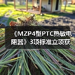 《MZP4型PTC热敏电阻器》3项标准立项获批(图2) 《MZP4型PTC热敏电阻器》3项标准立项获批(图2)