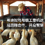 希迪智驾与临工重机达成战略合作,共启智慧矿山建设新纪元(图4) 希迪智驾与临工重机达成战略合作,共启智慧矿山建设新纪元(图4)
